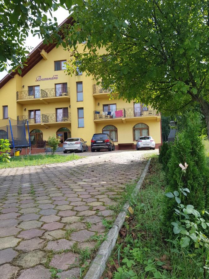Pensiunea Ruxandra Május 1. üdülő Kültér fotó