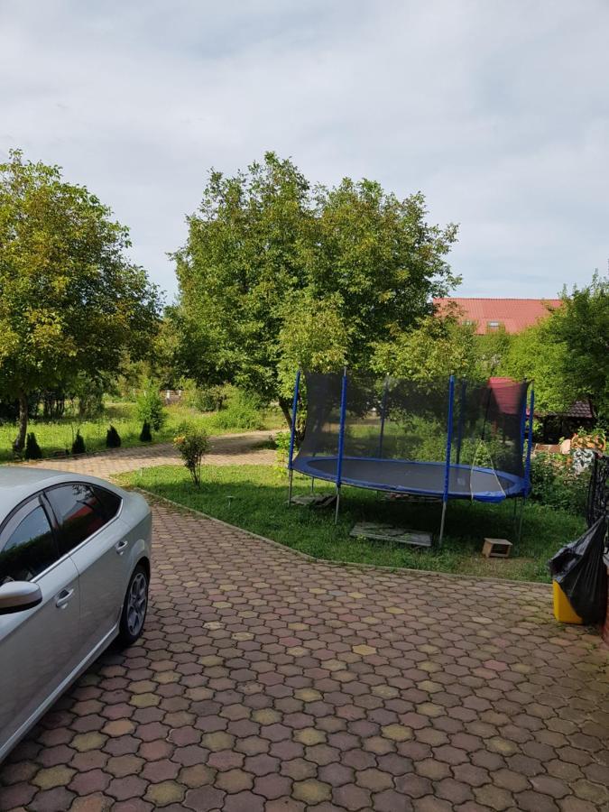 Pensiunea Ruxandra Május 1. üdülő Kültér fotó